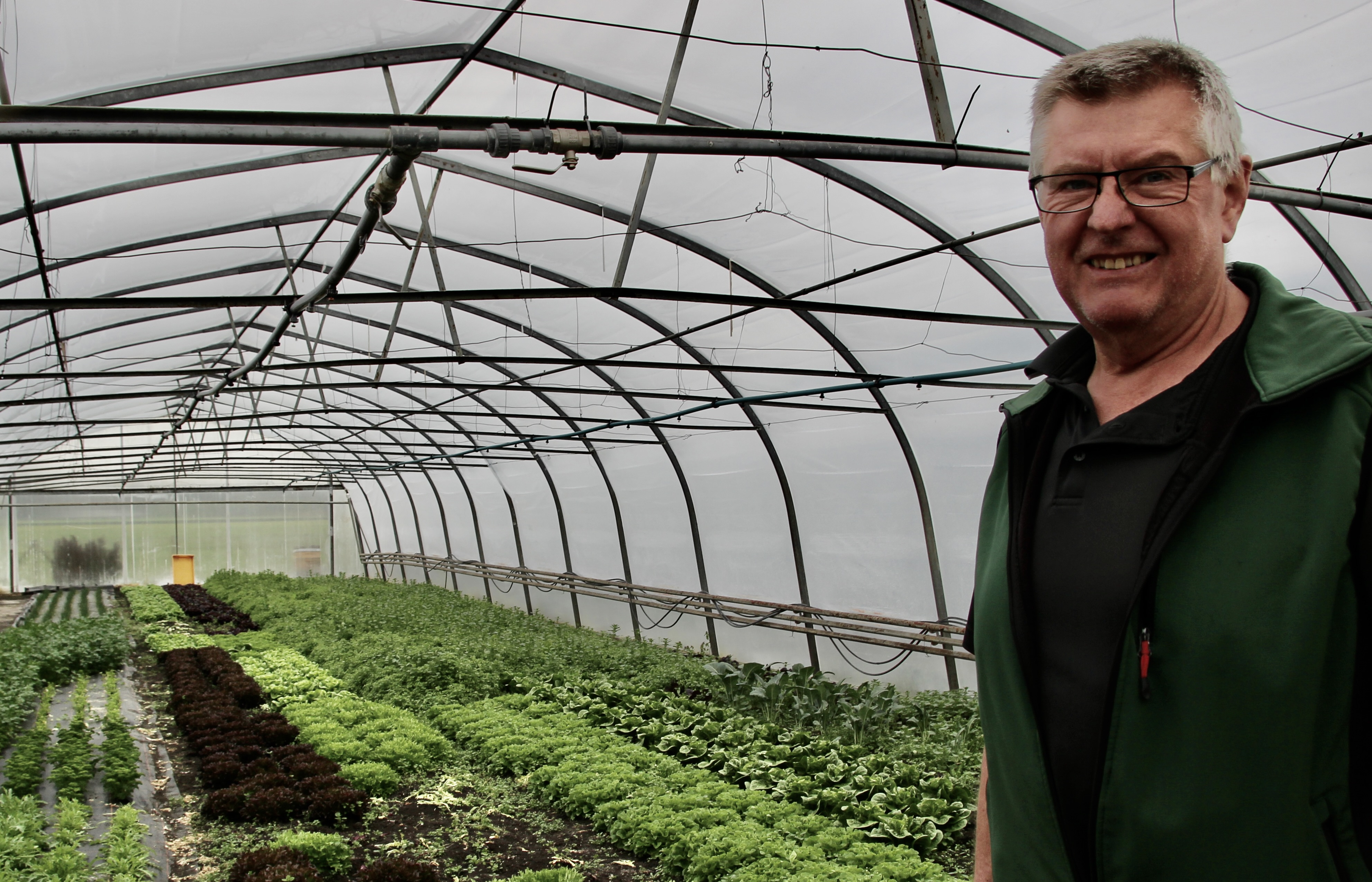 Vom Beet auf den Ladentisch: „Frischer geht es kaum. Das schätzen die Kunden“, meint Ludwig Adler.