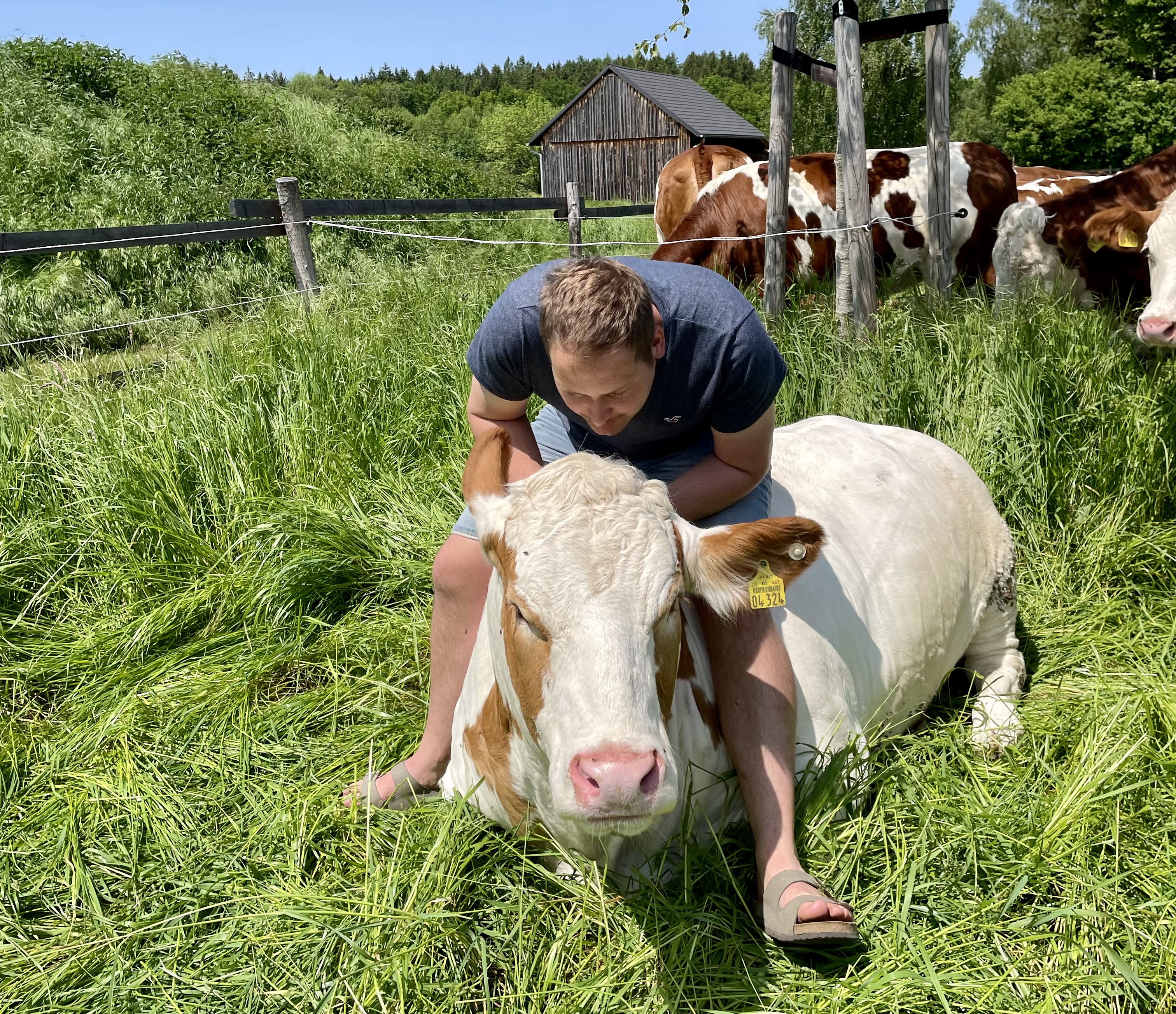 Der Liebling heißt Schneewittchen und ist nicht nur eine Schönheit, sondern mag ein extra Verwöhnprogramm.
