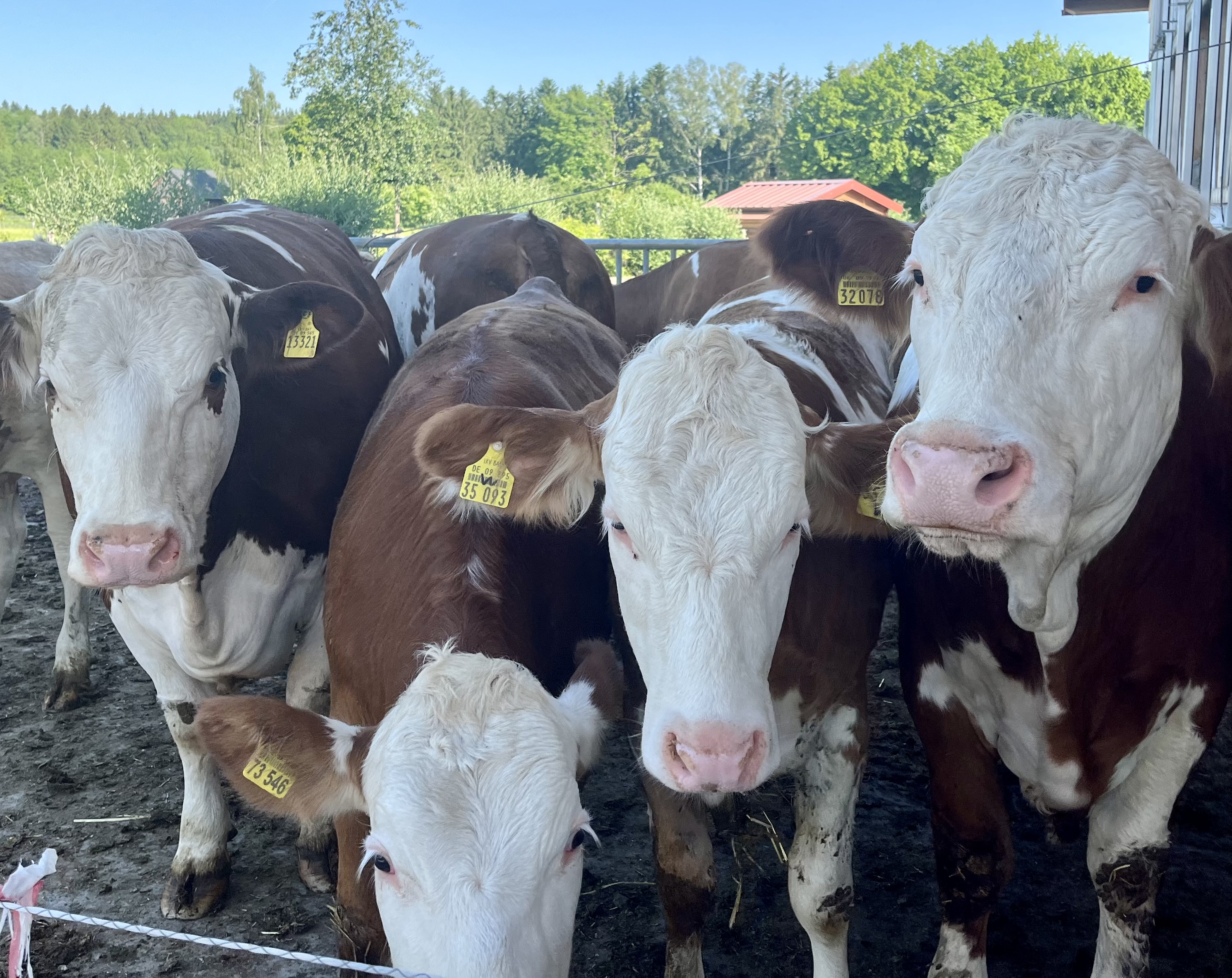Gedränge beim Fototermin 😅