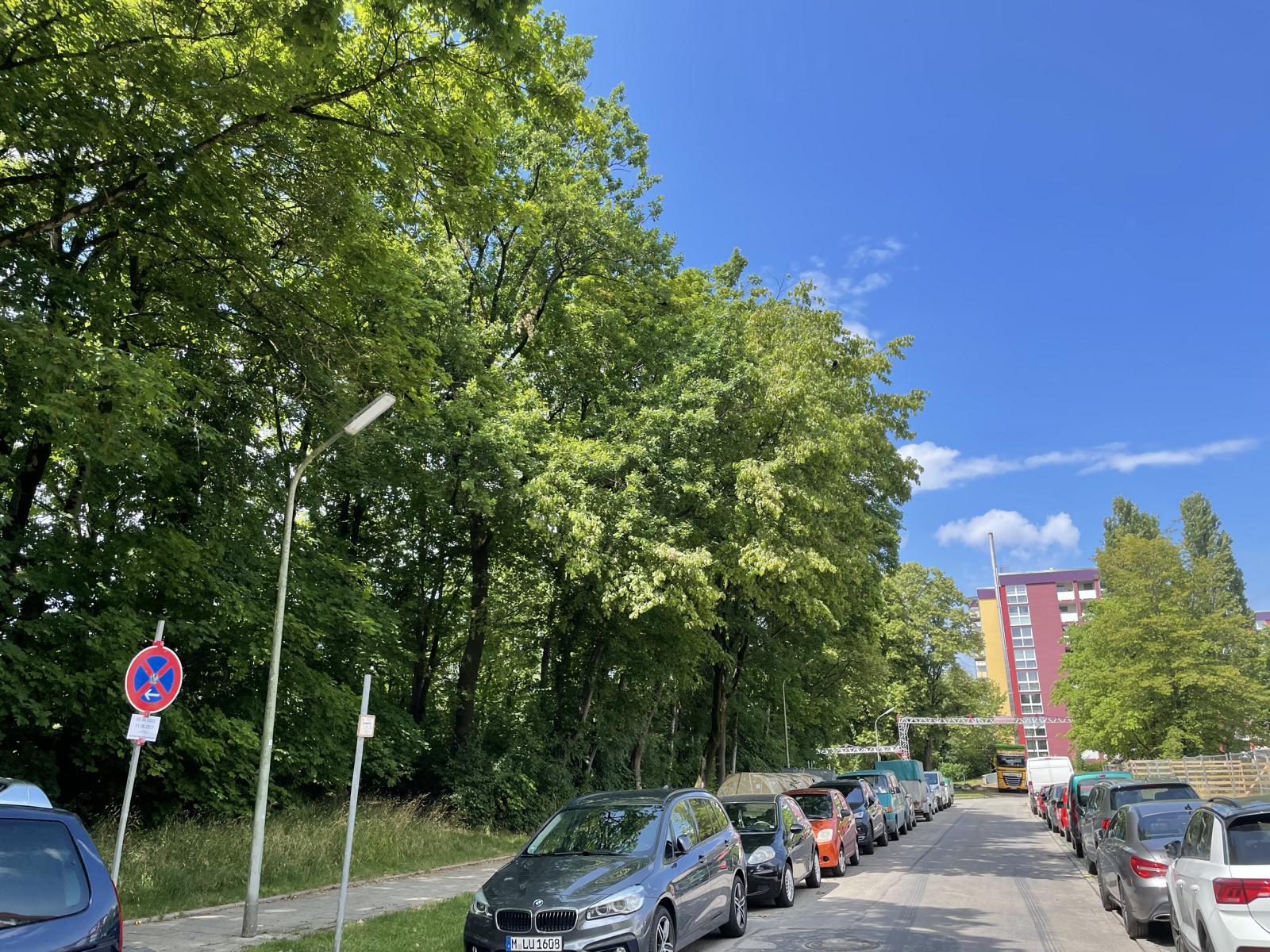 Gegen die große Krähenkolonie, die seit einiger Zeit in Neuaubing in den Bäumen entlang des Grünfingers westlich der Kunreuthstraße nistet, soll die Stadt vorgehen.