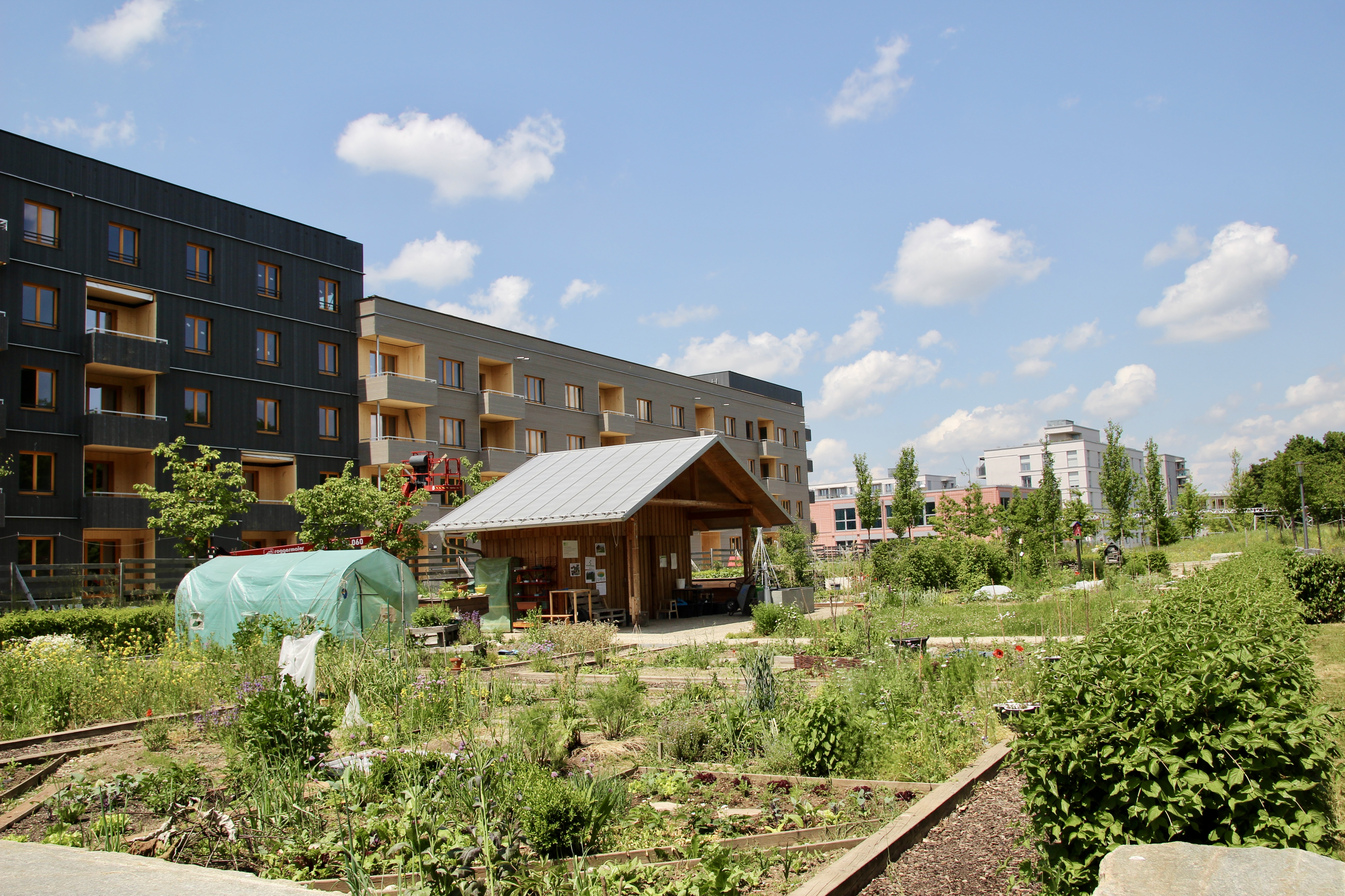 Kleine Oase mitten im Wohngebiet – die Grünfläche mit Gärten zwischen Freiham und Neuaubing
