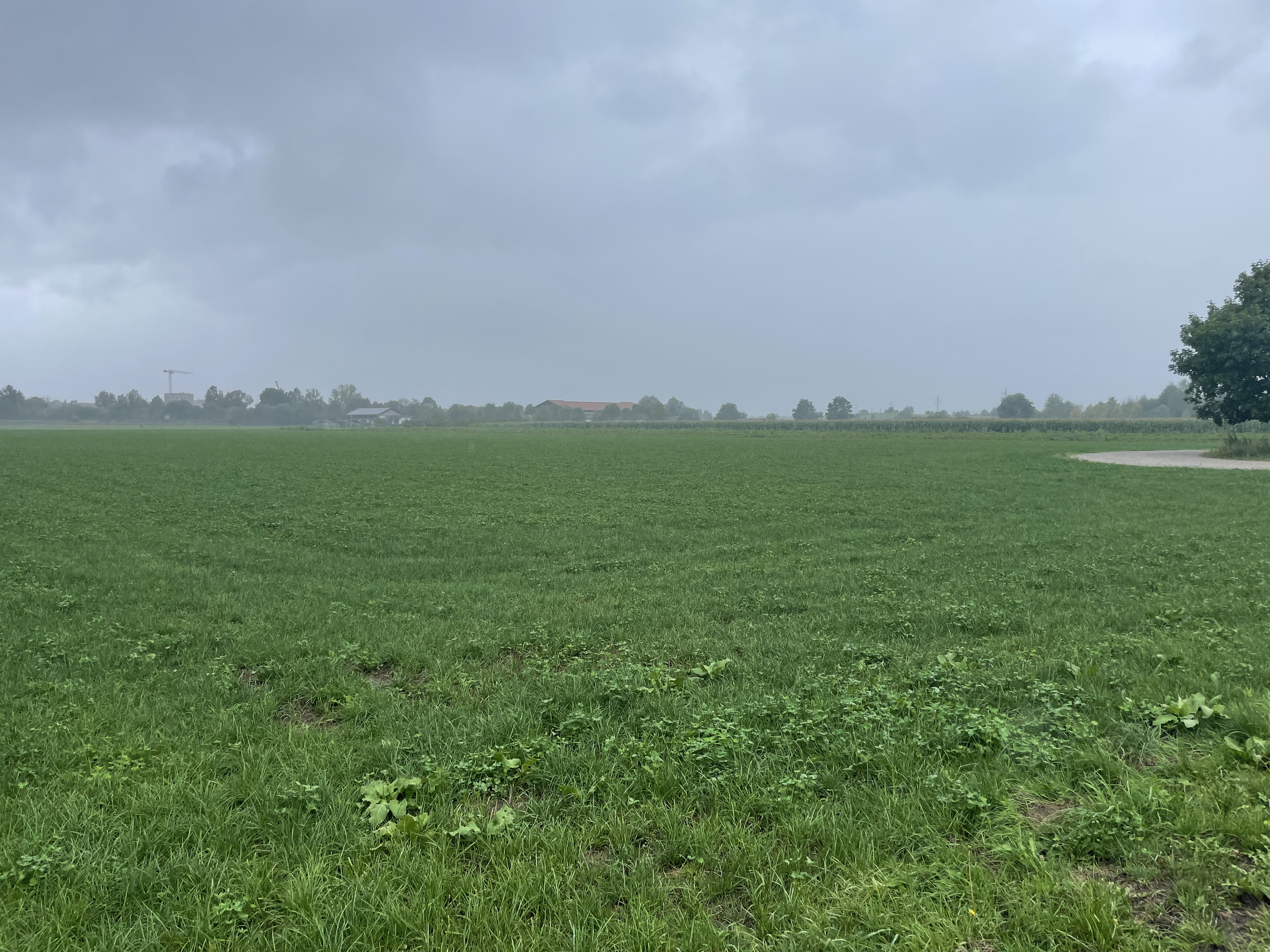 Die Potenzialfläche