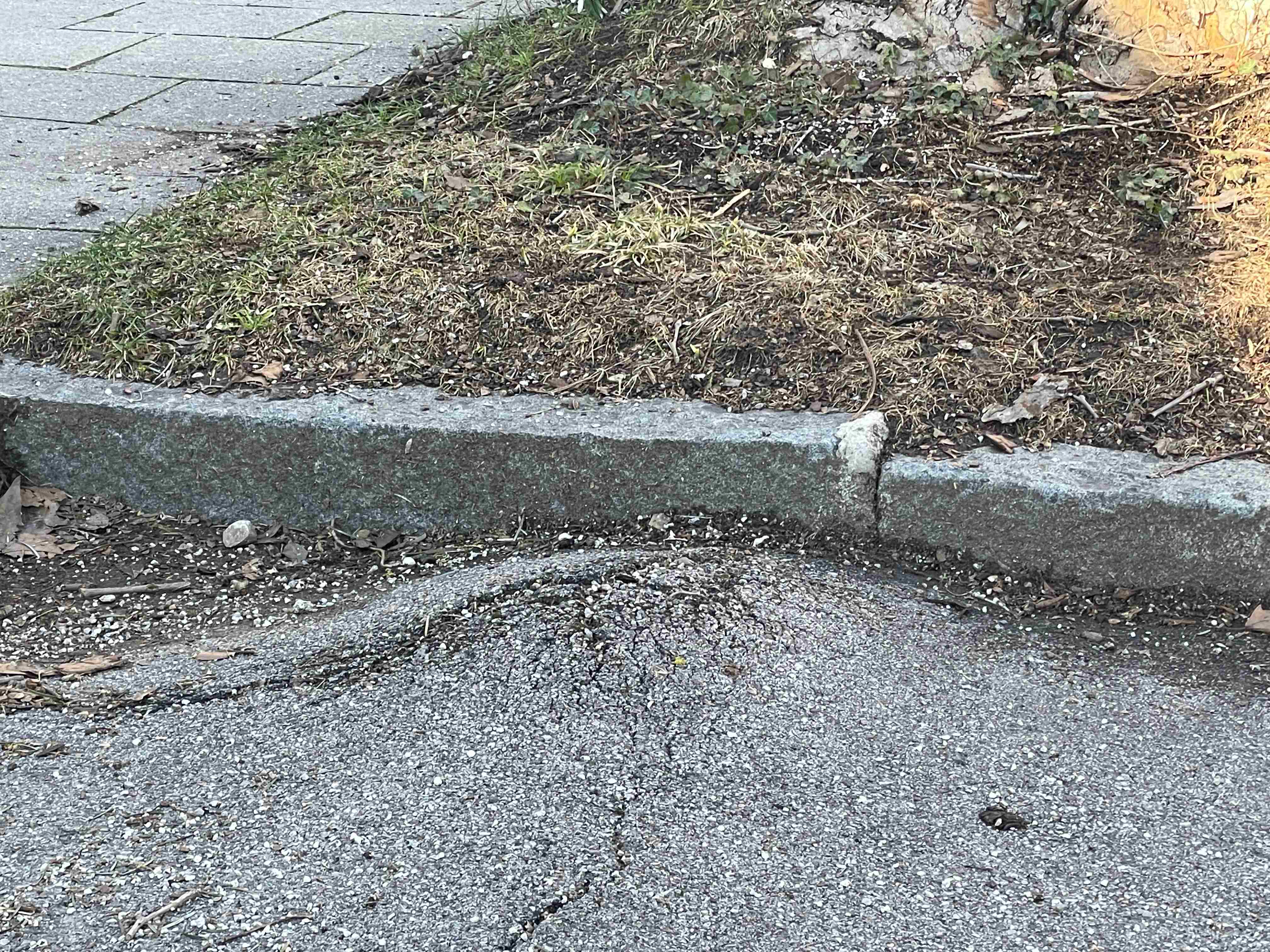 Am westlichen Feldmeierbogen