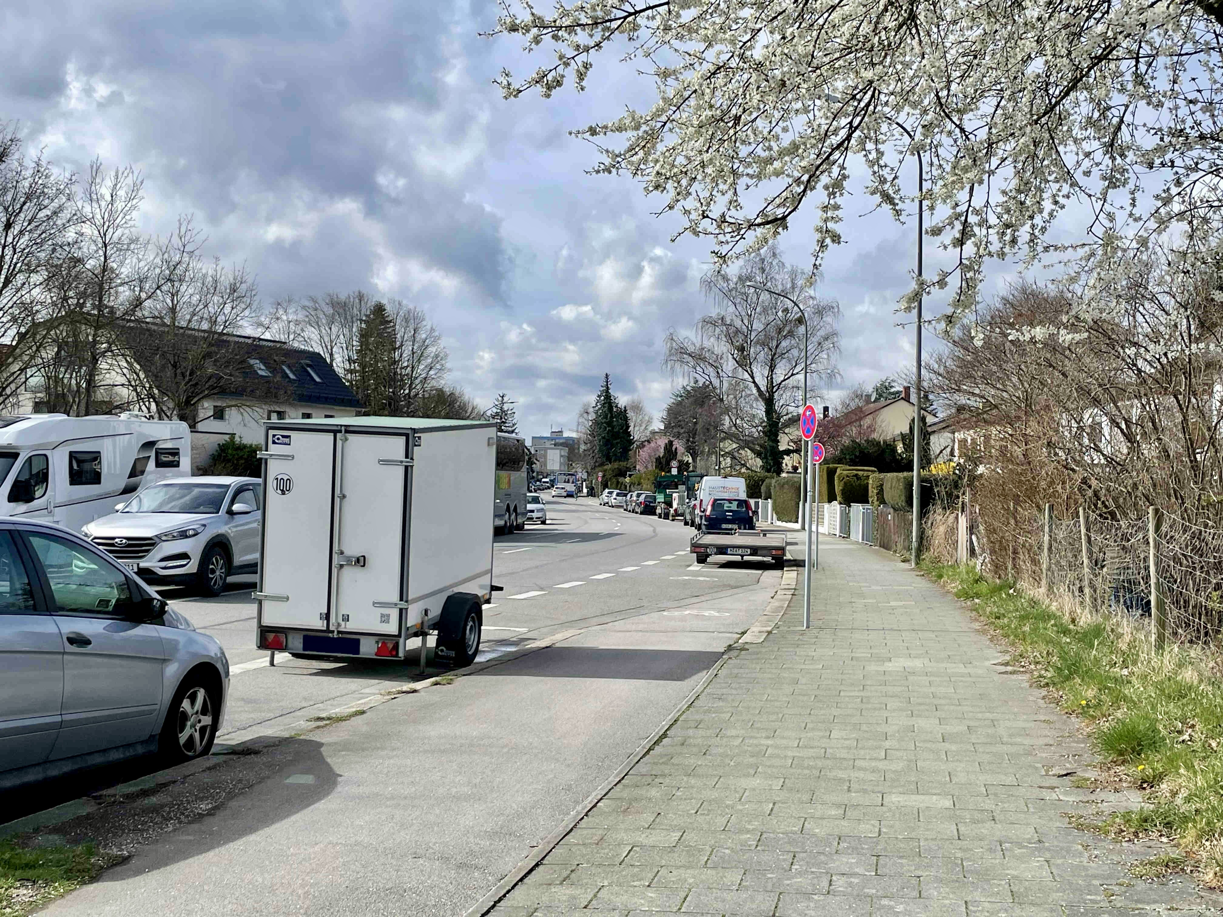 Sind alle durch Neubauten entfernten Bäume wie hier an der Altenburgstraße wieder nachgepflanzt worden, das will das Bürgergremium von der Stadt wissen.