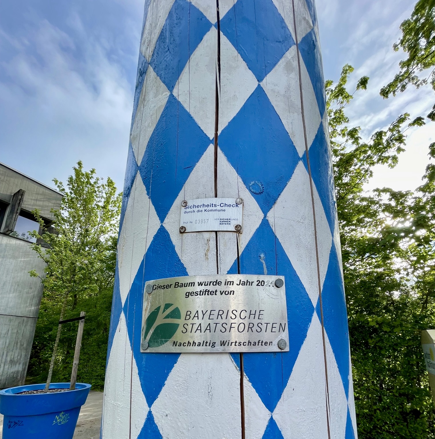 Der aktuelle Maibaum