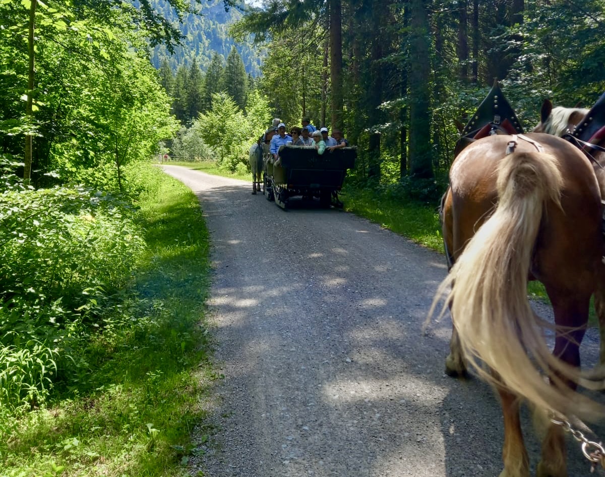 Kutschfahrt bei herrliche weiß-blauen Himmel durch die idyllische Landschaft der Walter von Kreuth.