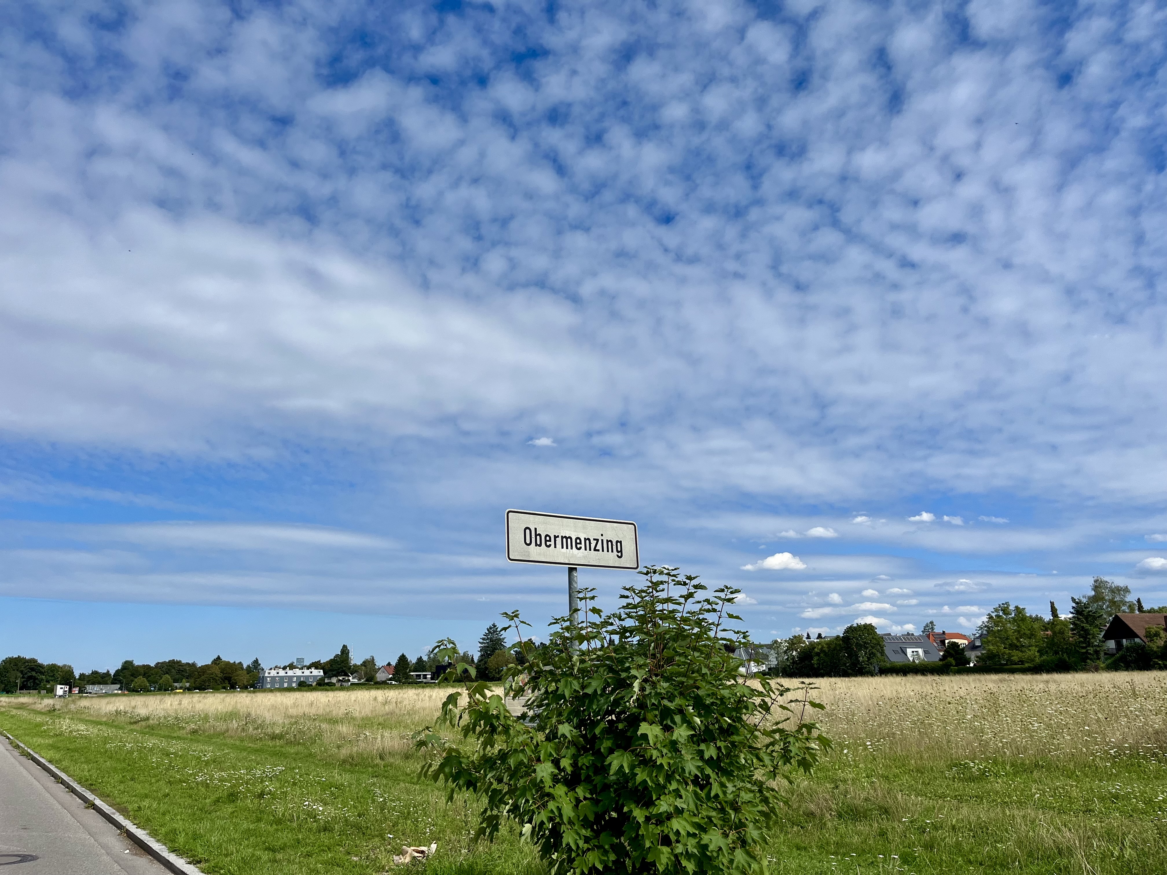 Die Freifläche zwischen Würmgrünzug und S-Bahnhof Untermenzing ist das so genannte Erdbeerfeld.
