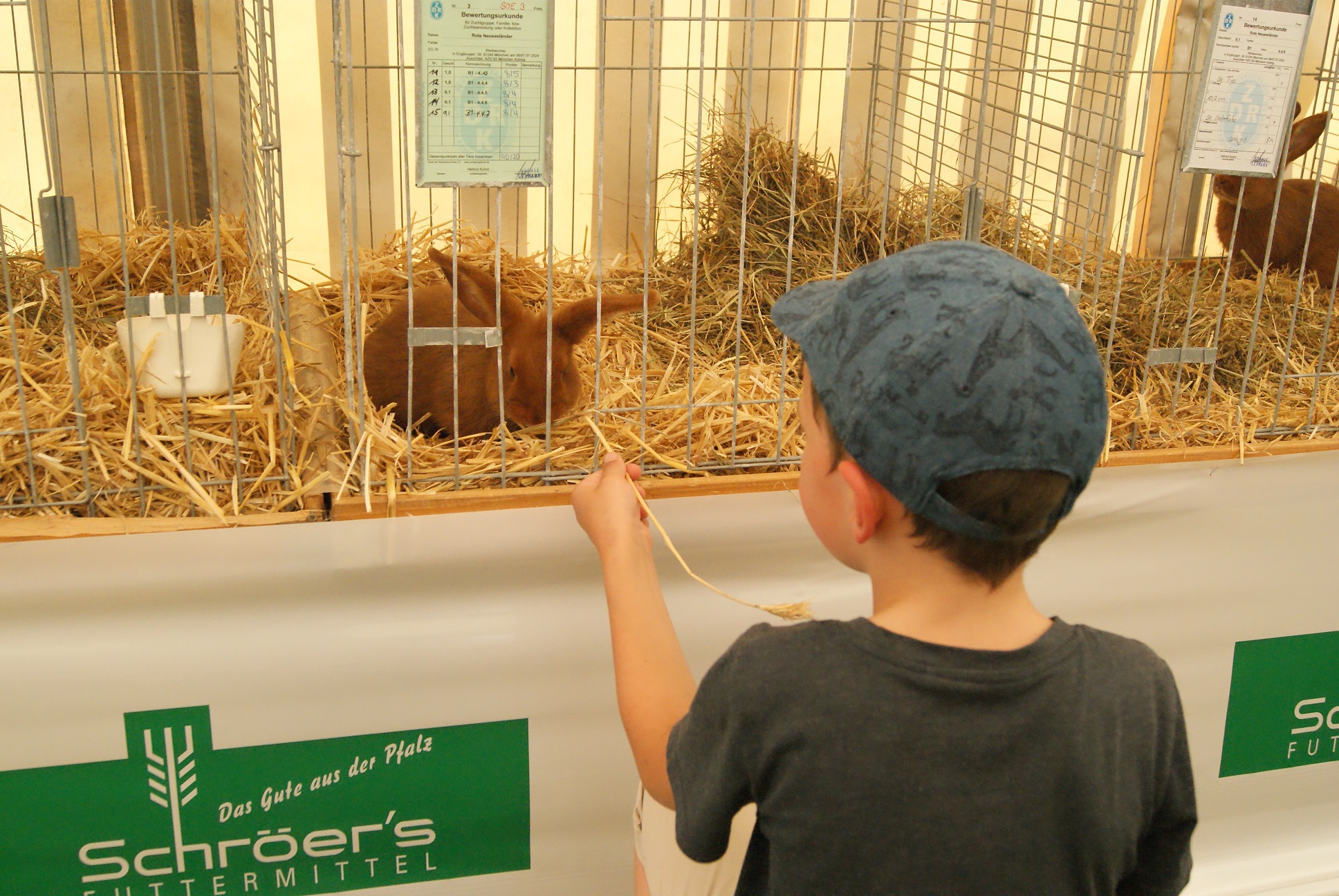 So manches Kind würde gerne einen kleinen Vierbeiner mit nach Hause nehmen.